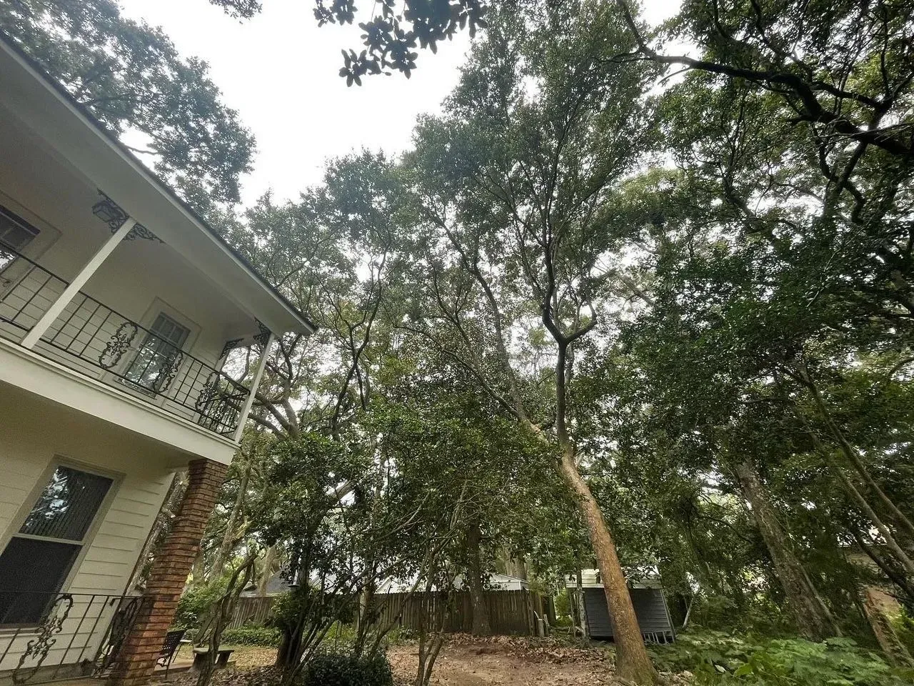 A house with a balcony next to tall, leafy trees under an overcast sky.