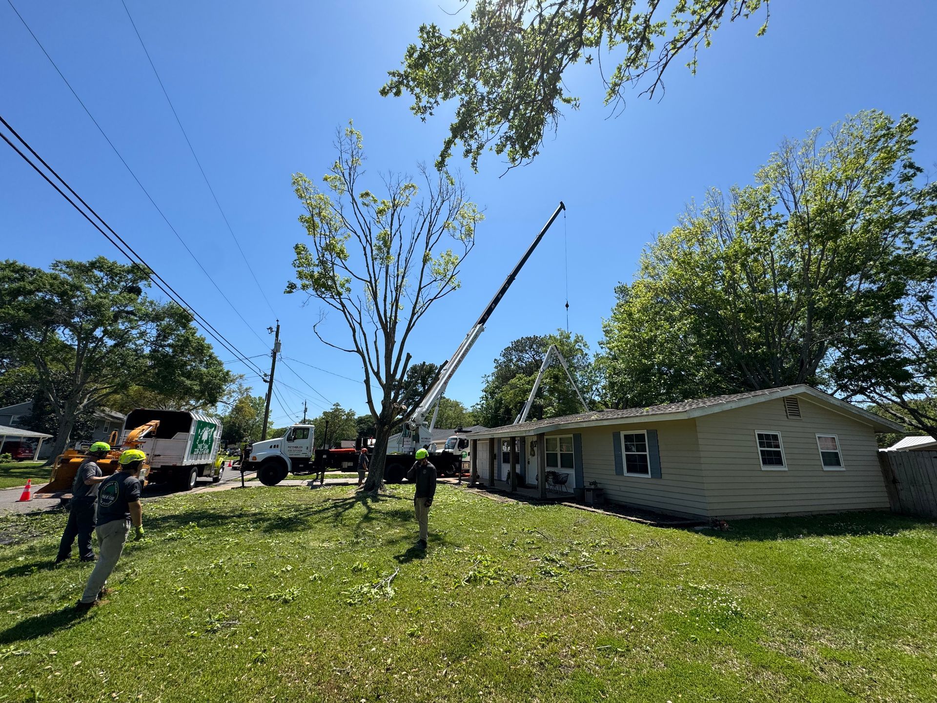Workers trimming a tall tree near power lines and a house, using a crane and bucket truck, on a sunny day.