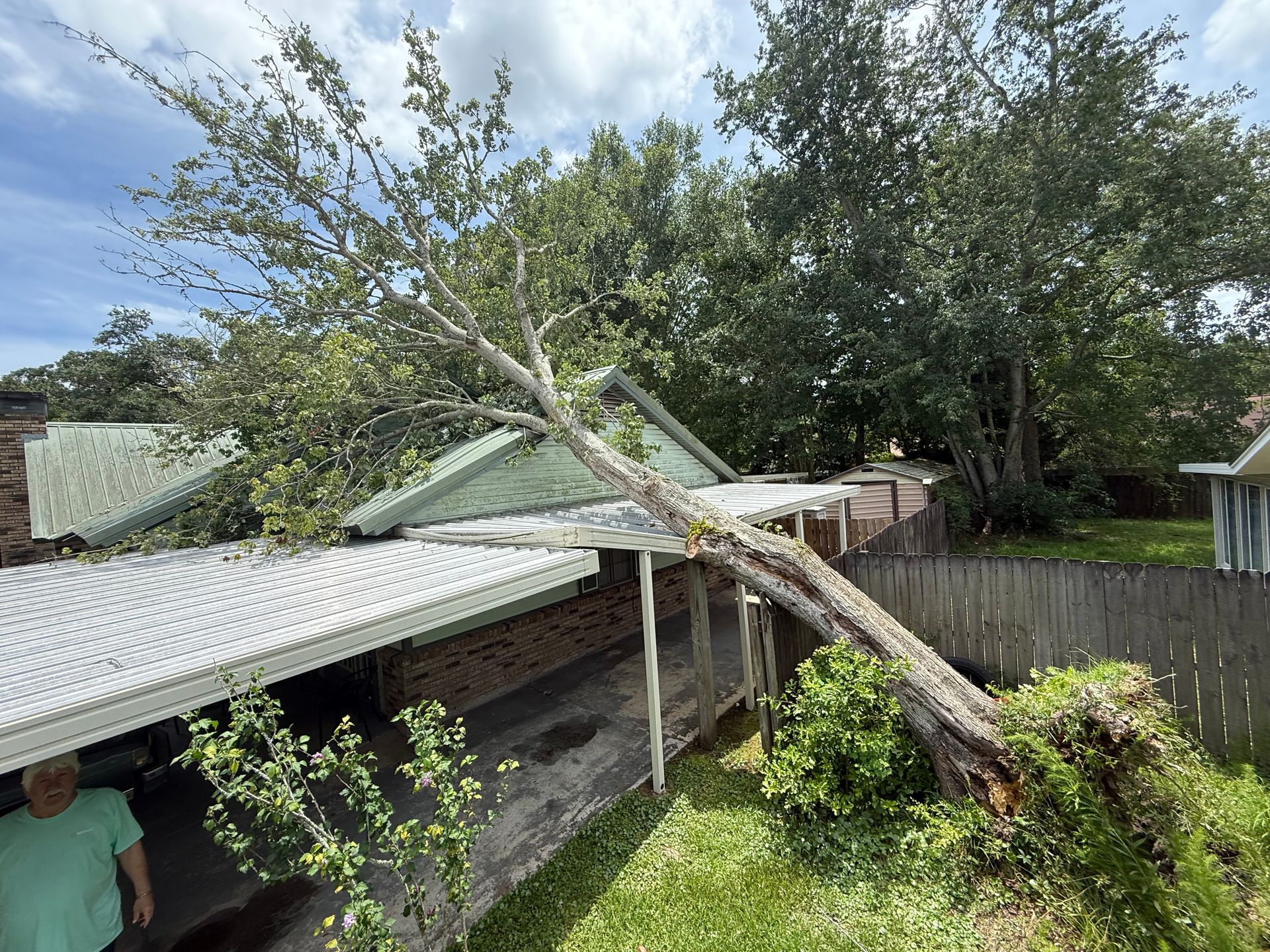 Tree fallen on a roof of a house, causing damage; greenery surrounds.