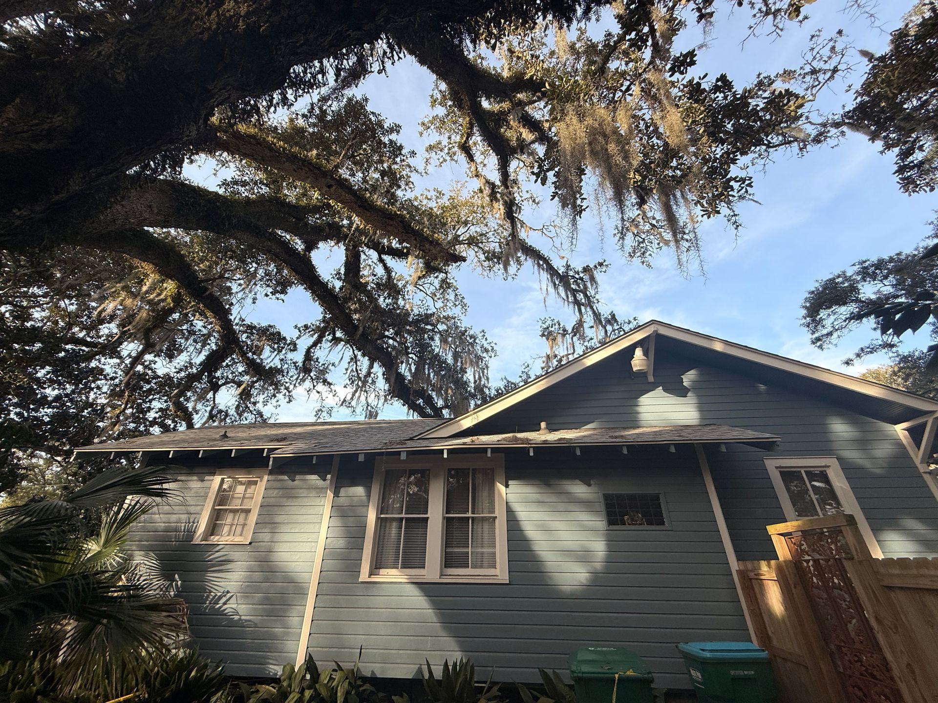 Blue house with white trim, shaded by large tree branches with hanging moss, against a blue sky.
