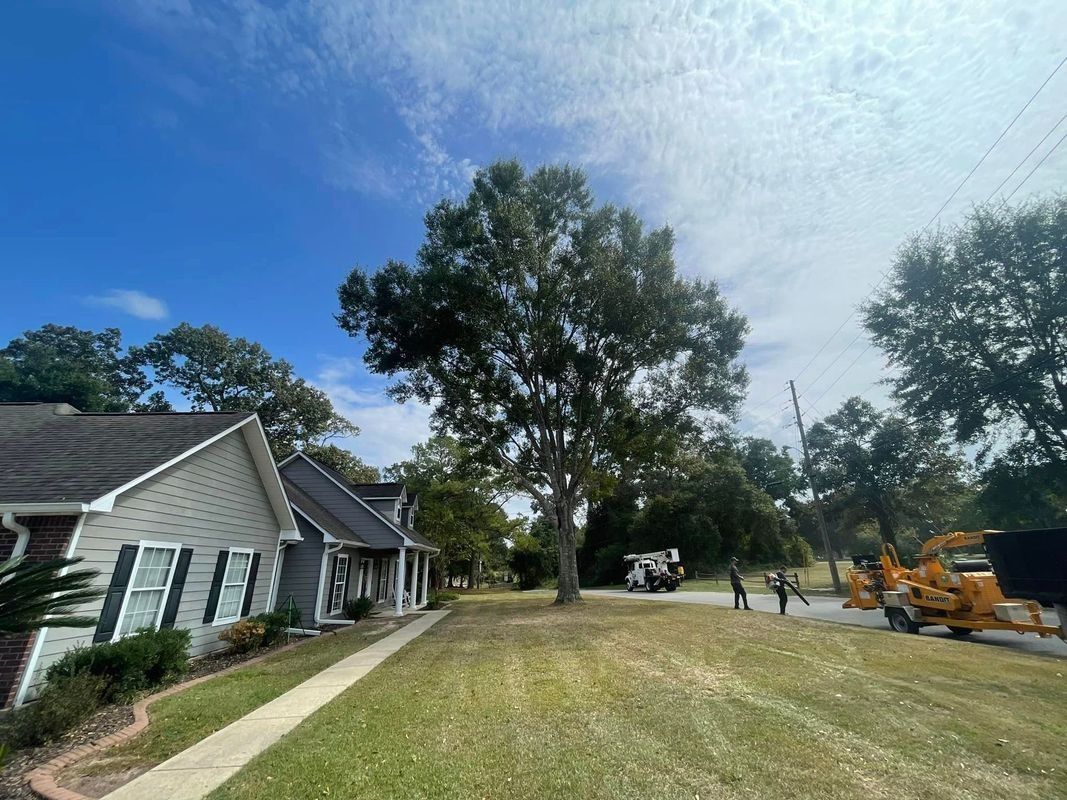 Houses line a grassy yard with a large tree under a blue sky.