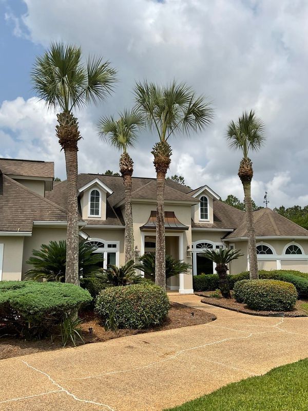 A house with tall palm trees in front. Beige siding, brown roof, and tan driveway.
