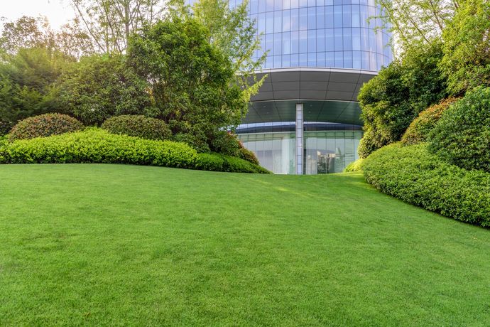 Modern glass building behind a lush green lawn and landscaped shrubs