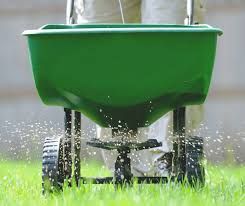 Green garden spreader on wheels scattering material over grass