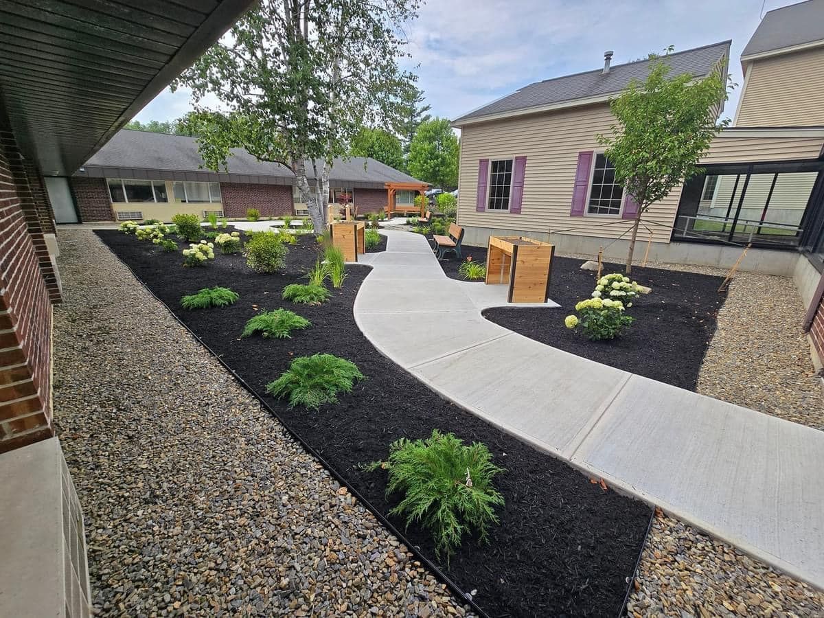 Landscape path beside building with black mulch, shrubs, and a curved concrete walkway