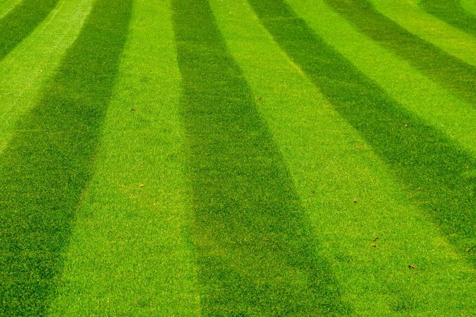 Lawn with alternating stripes of light and dark green, creating a pattern.