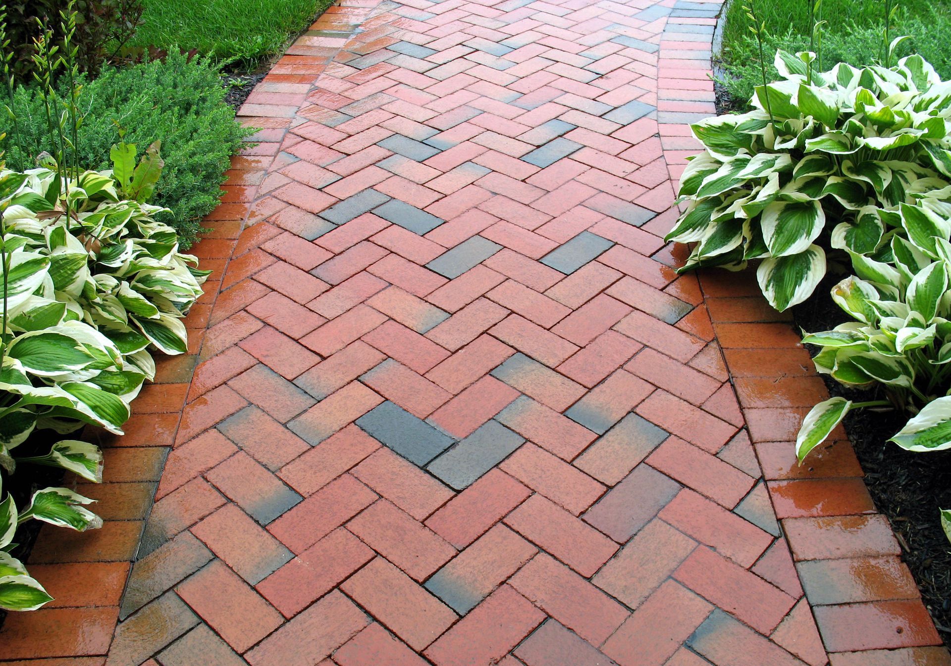 Brick pathway with herringbone pattern, flanked by green and white-edged plants.