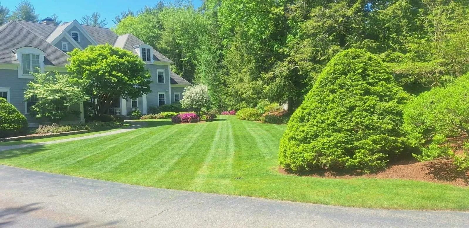 Lush green lawn in front of a blue-gray house with well-trimmed trees and bushes.