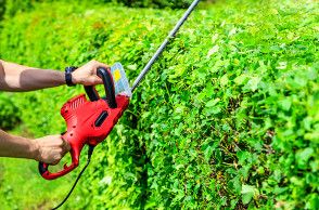 hedge trimmers