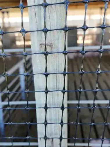 Close-up of a blue mesh net over a white vertical post, with blurred railings in the background