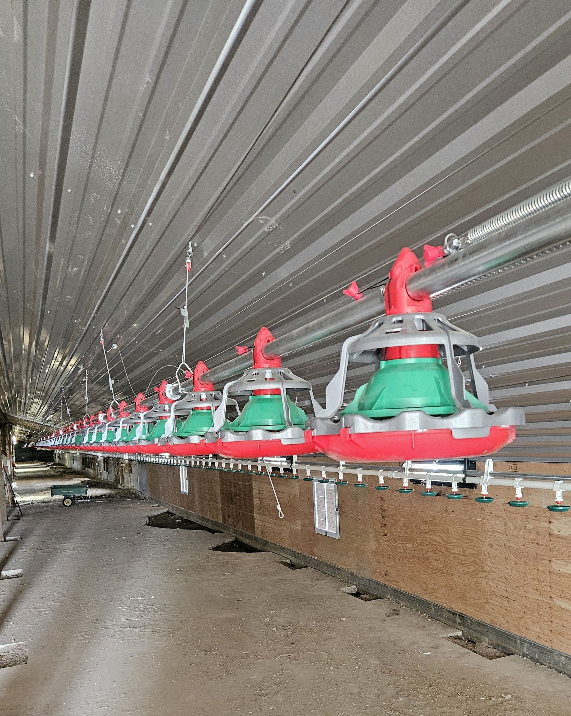 Close-up perspective along a suspended automated poultry feeding line showing red and green pan feeders inside a barn.