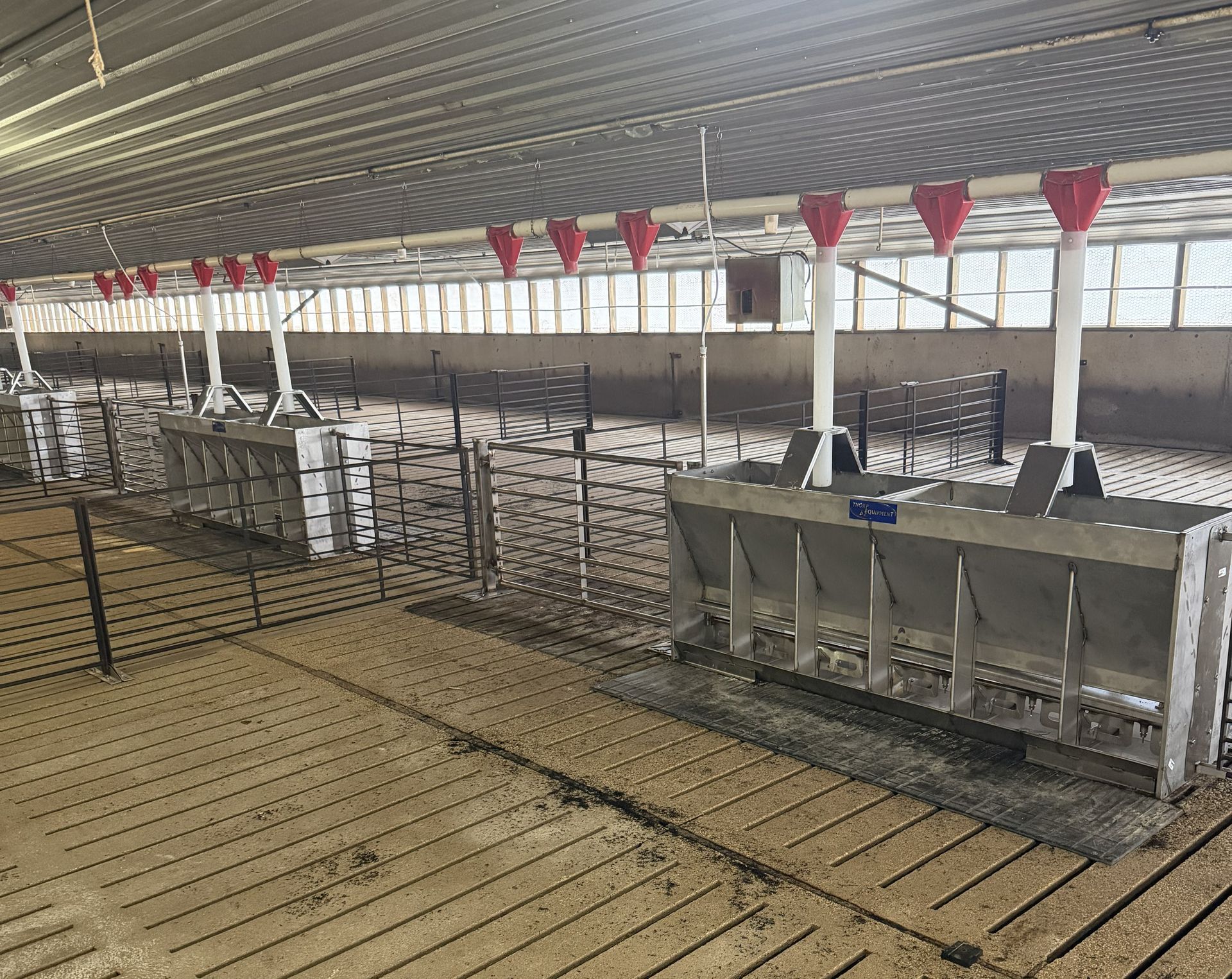 Interior view of a swine facility showing slatted flooring, metal pen dividers, and stainless steel hog feeders.