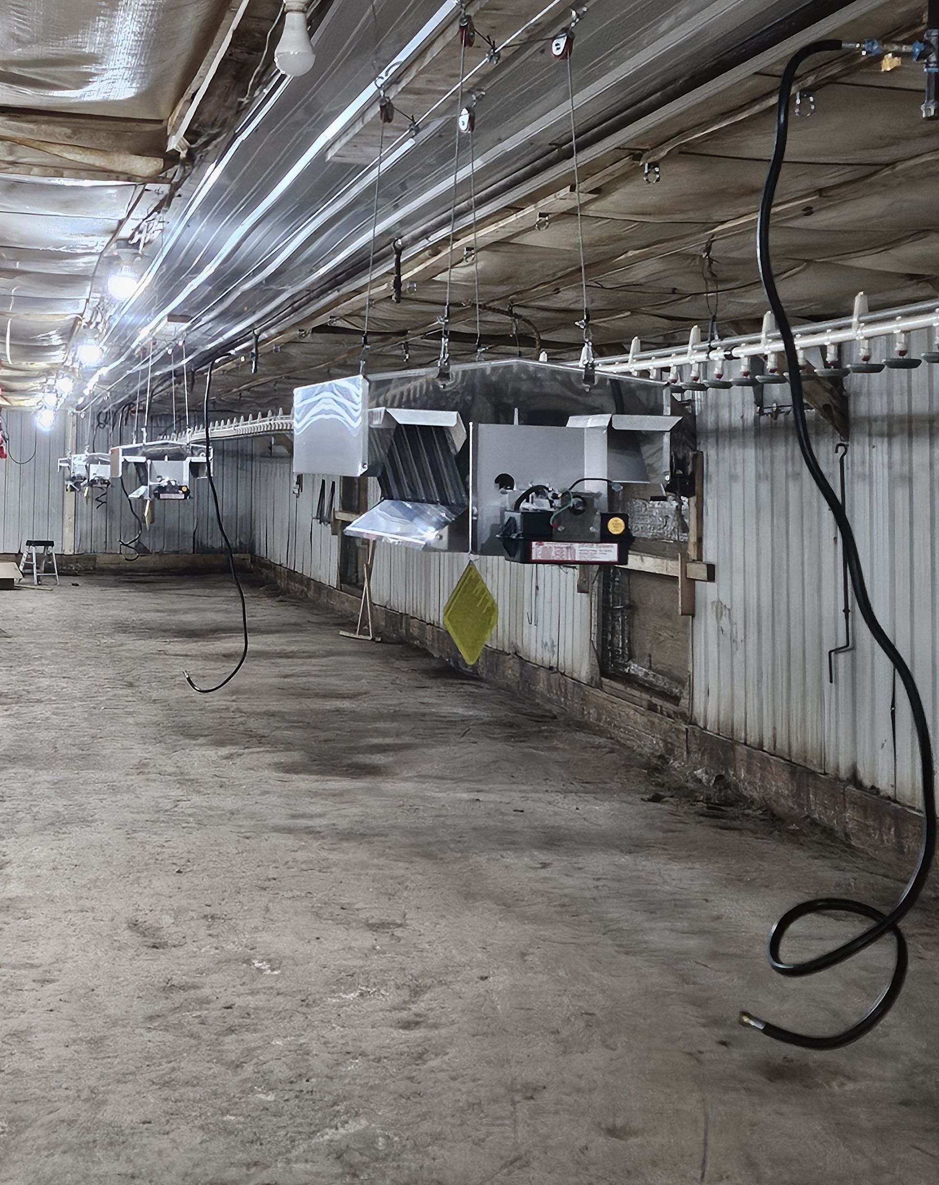 Metal feeding control machinery suspended from the ceiling along a livestock barn aisle.