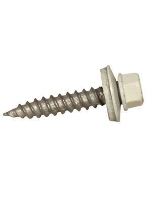 10 x 2” SS Screw
