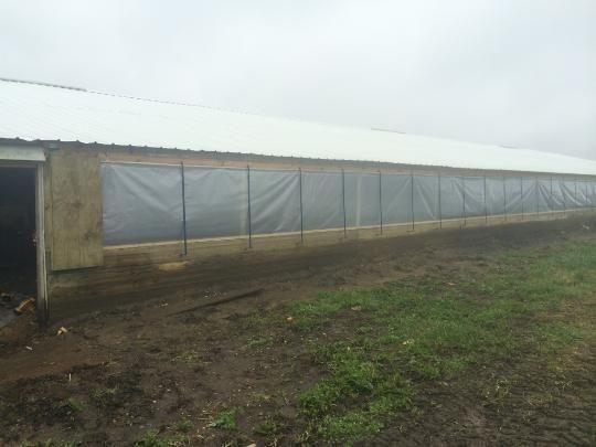 Long rural building with gray tarp-covered windows beside a muddy, grassy yard under an overcast sky
