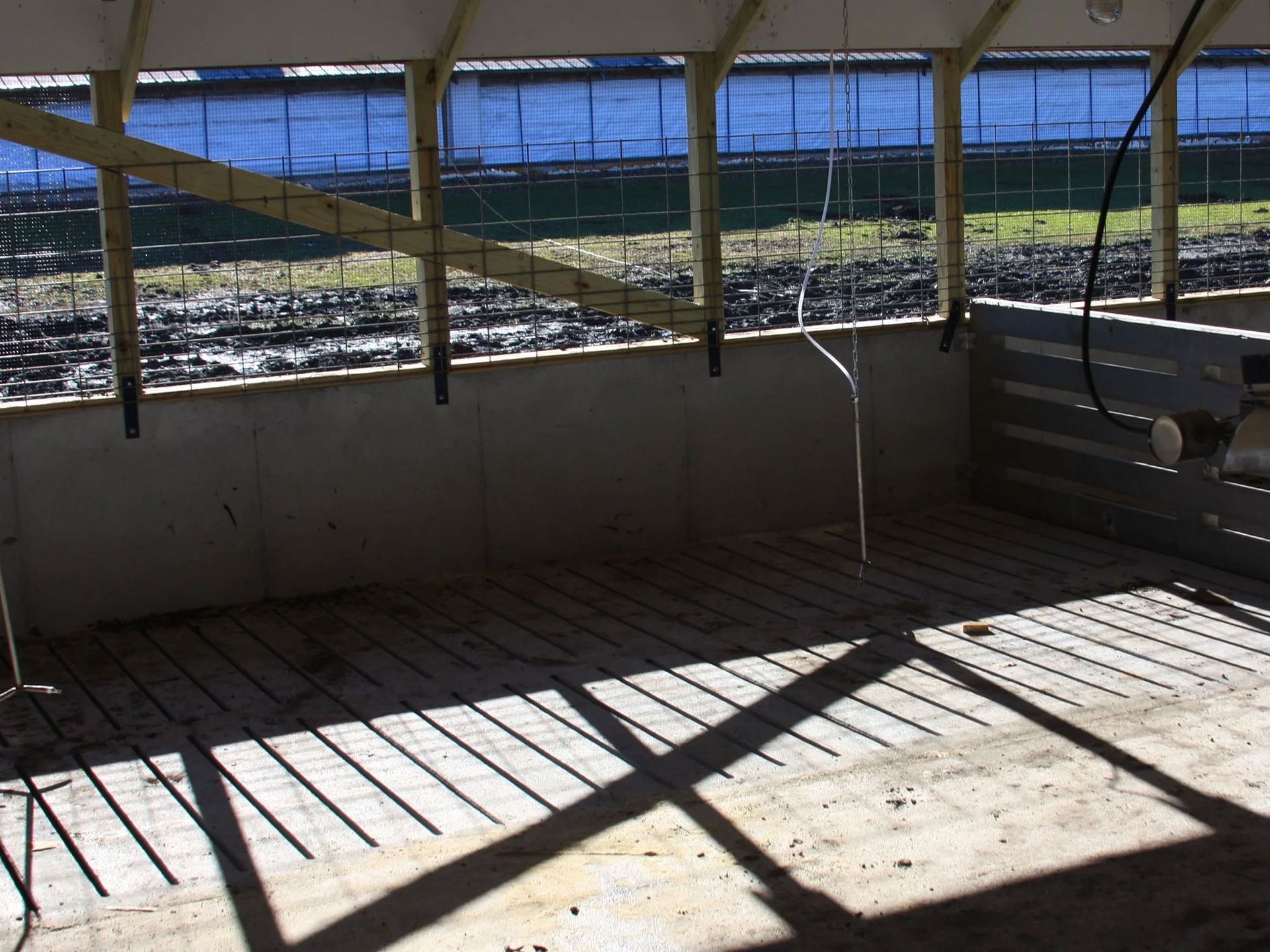 Empty animal pen with concrete floor, barred windows, and sunlight casting shadows inside.
