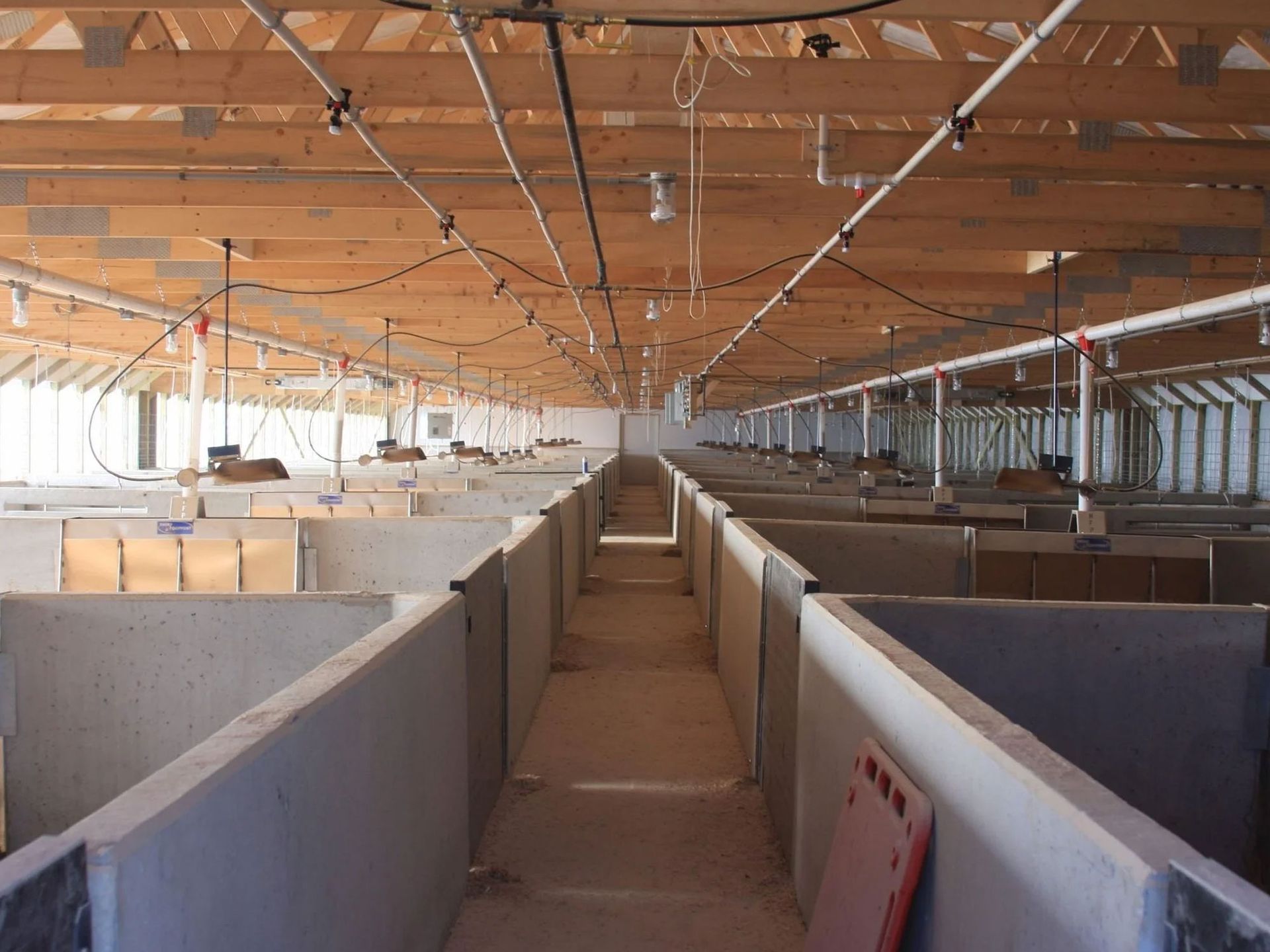 Empty indoor livestock barn with rows of concrete pens and a wooden ceiling