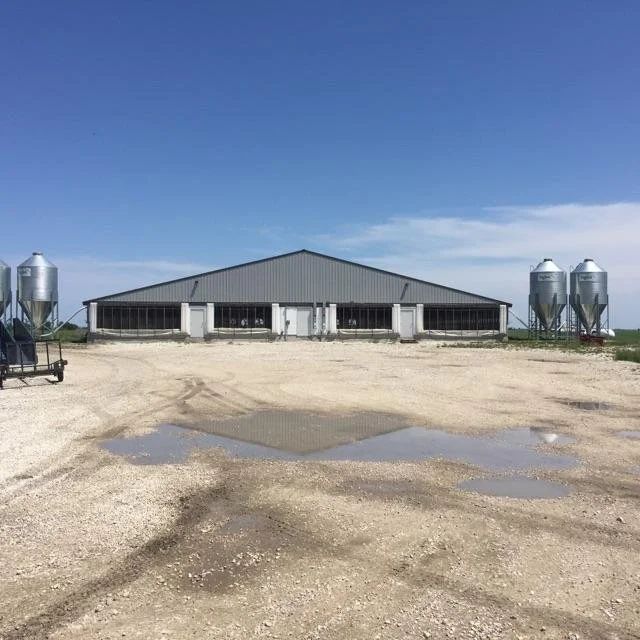 Wide farm building with silos on both sides under a clear blue sky, viewed across a gravel lot with puddles