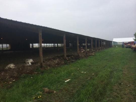Long cattle shed beside a grassy field under an overcast sky.