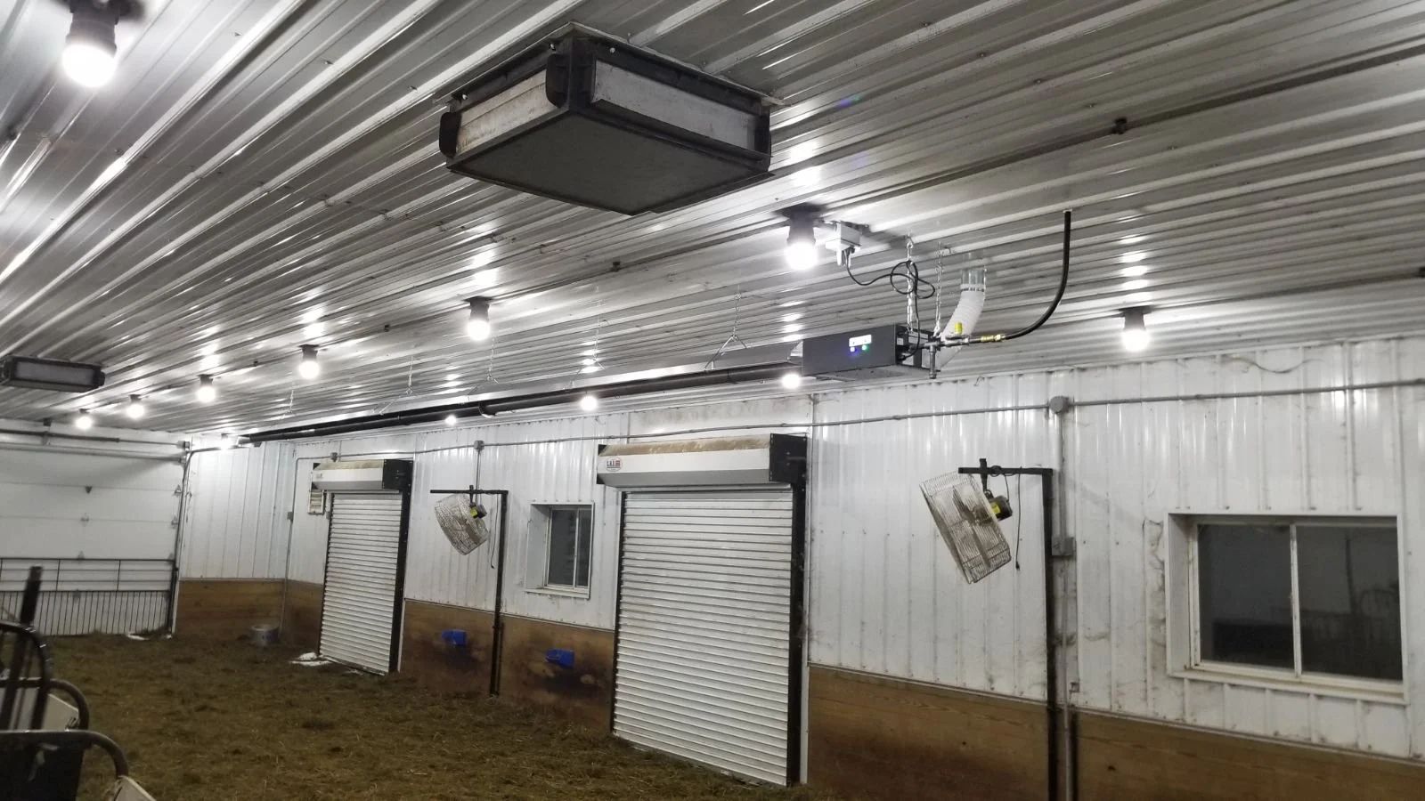 Barn interior with metal walls, overhead lights, and several white doors and windows along the side.