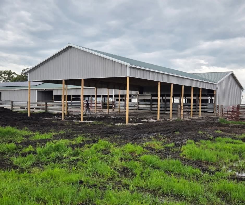 Open-sided barn under construction on a muddy farm, with metal siding and roof panels.