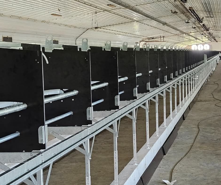 Long indoor row of black livestock stalls with white railings in a barn-like facility
