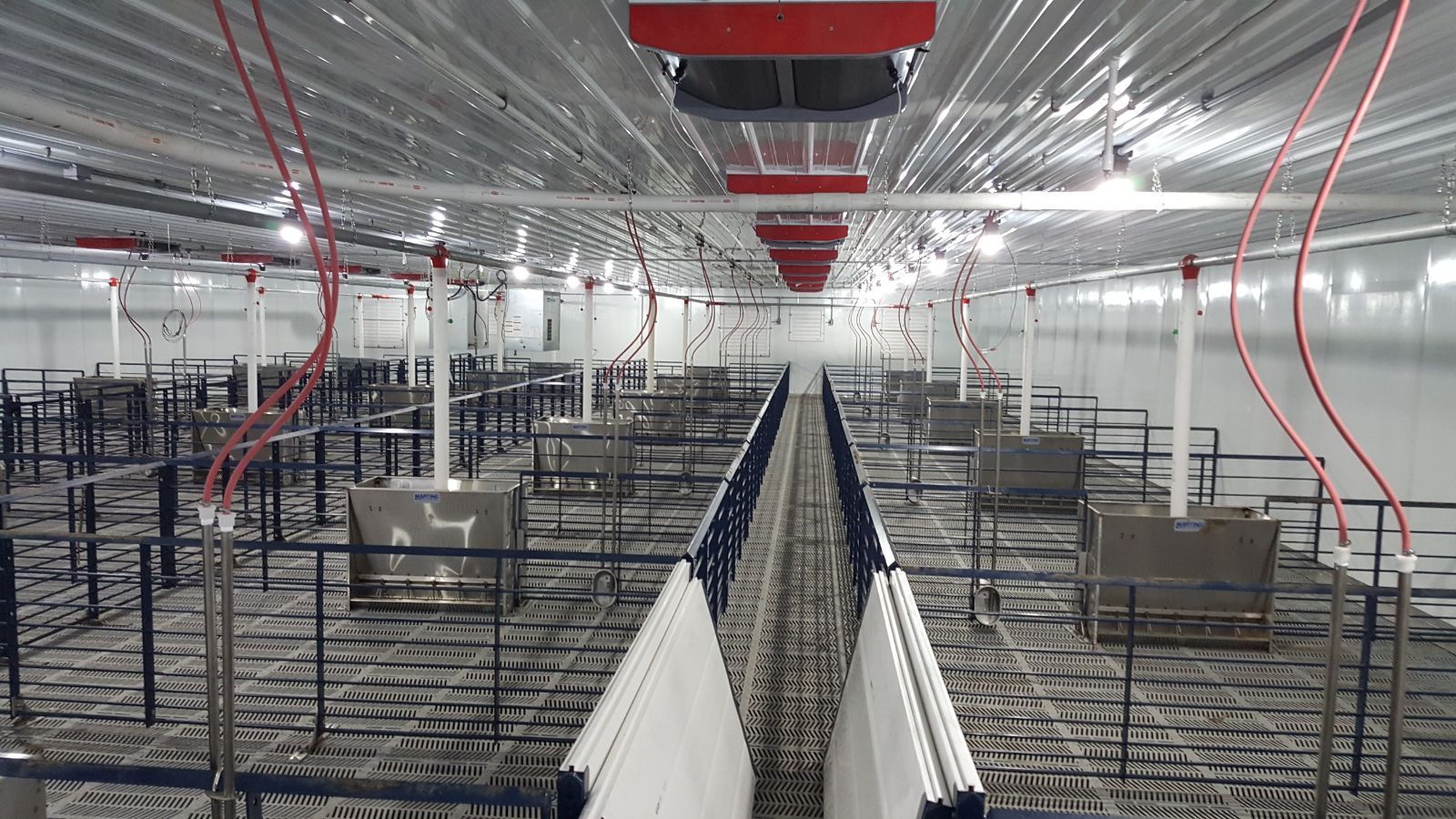 Interior view of an empty livestock facility featuring slatted flooring, metal pen dividers, stainless steel feeders, and overhead piping