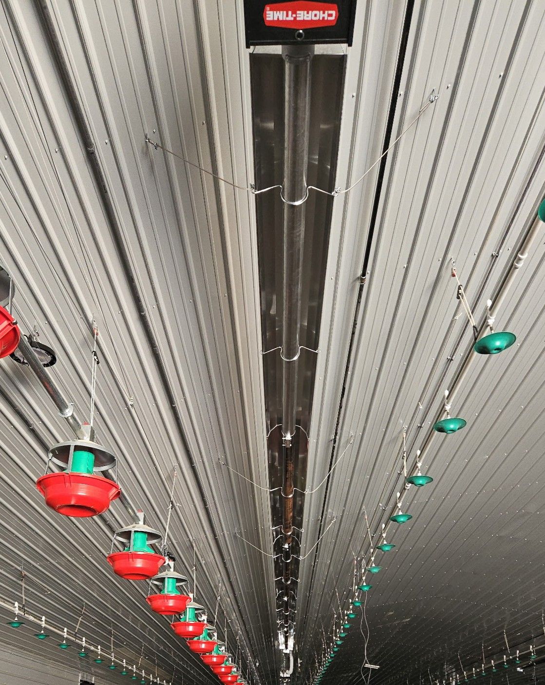 Low-angle view looking up at automated Chore-Time feeding lines and overhead heating equipment in a poultry facility.