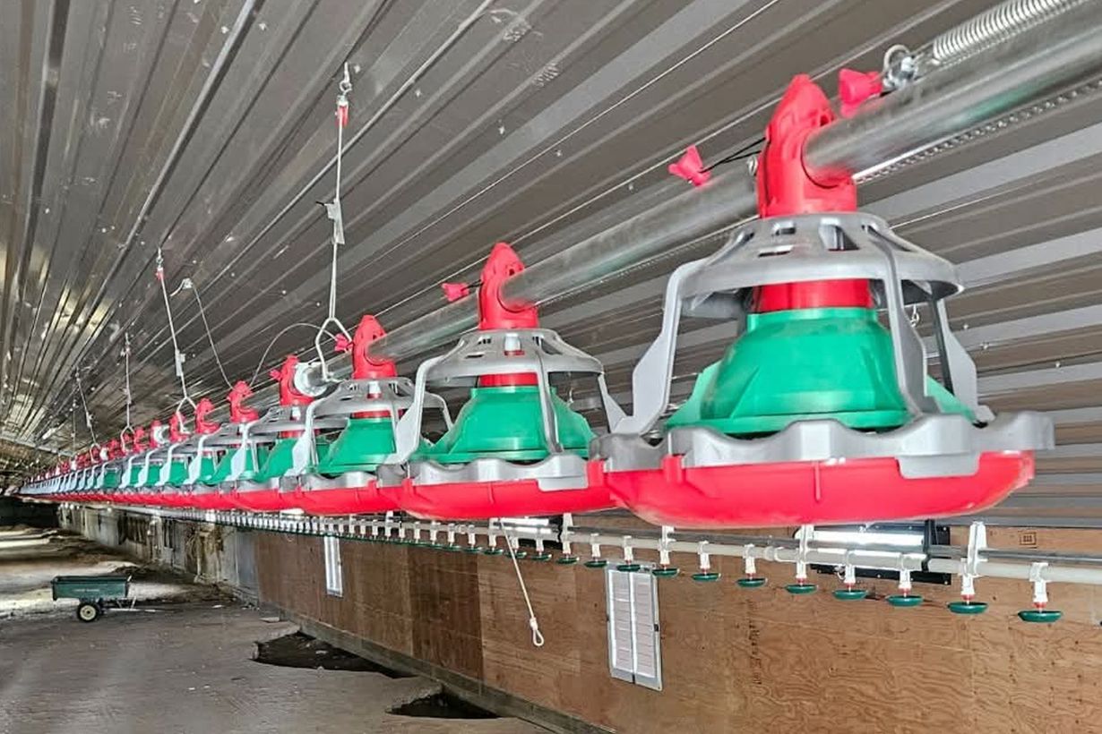 Row of green-and-red industrial machines on a factory assembly line under a long metal roof