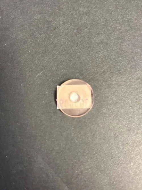 Rubber Washer for SS Top
