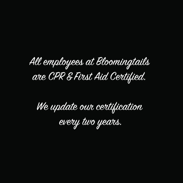 Woman holding a small dog in a white outfit, both smiling in a bright room