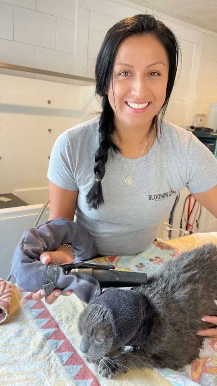 Woman smiling while holding a tablet beside two gray cats on a patterned blanket.