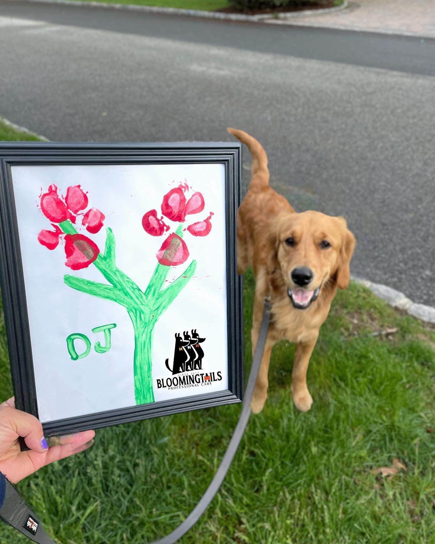 Framed flower drawing held beside a golden dog standing on grass near a road