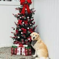 A golden retriever wearing a patterned bandana sits next to a Christmas tree decorated with red bows and white ornaments.