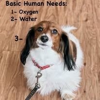 A list titled 