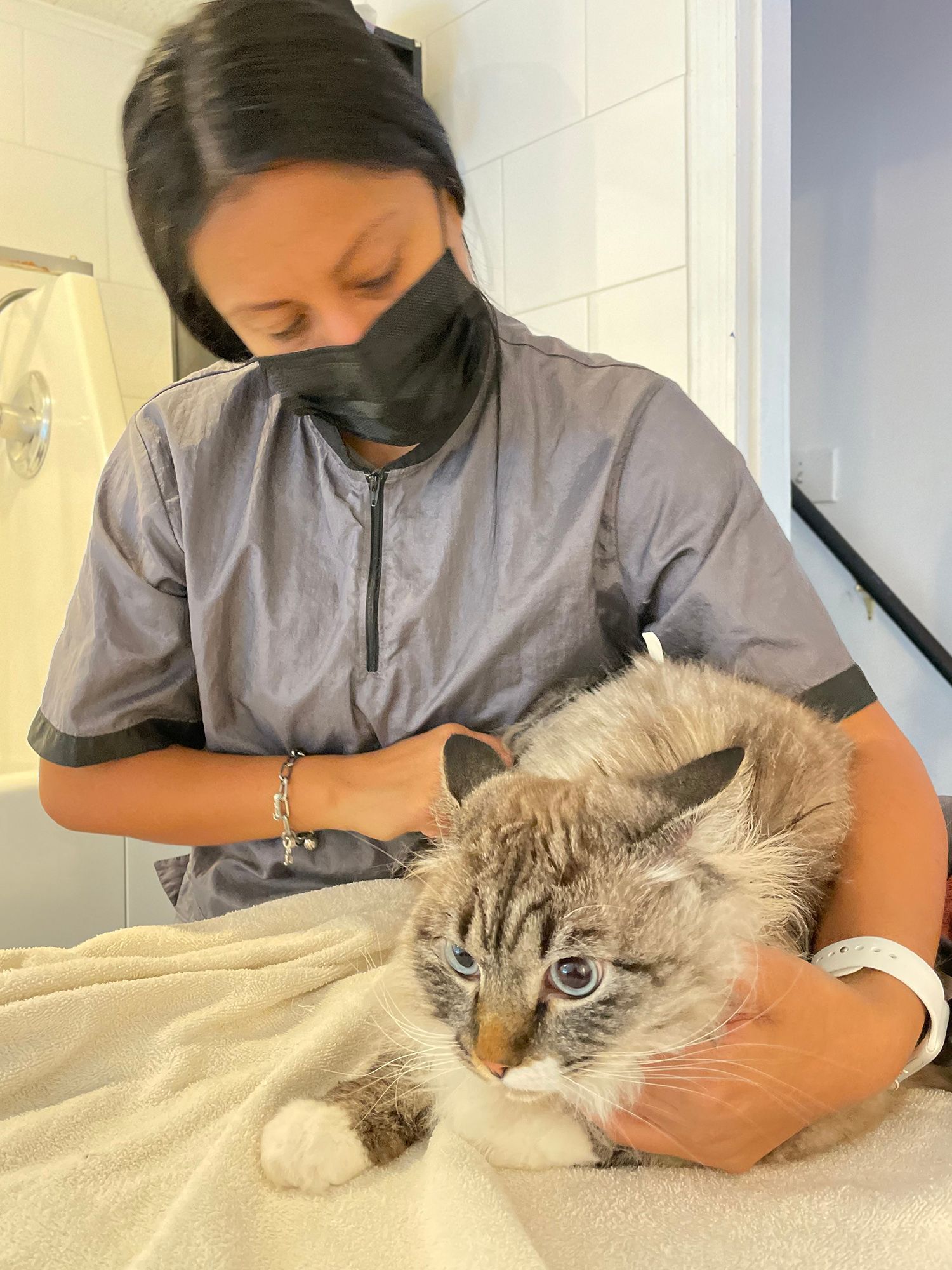 Person in gray top cradling a fluffy cat on a towel, both indoors near a tiled wall.