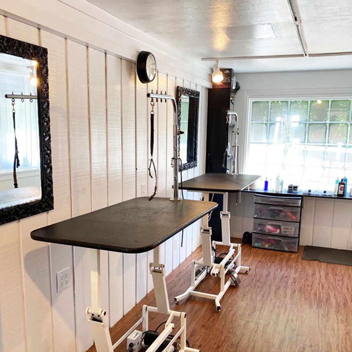 Dog grooming salon with two black grooming tables and white walls in a bright room
