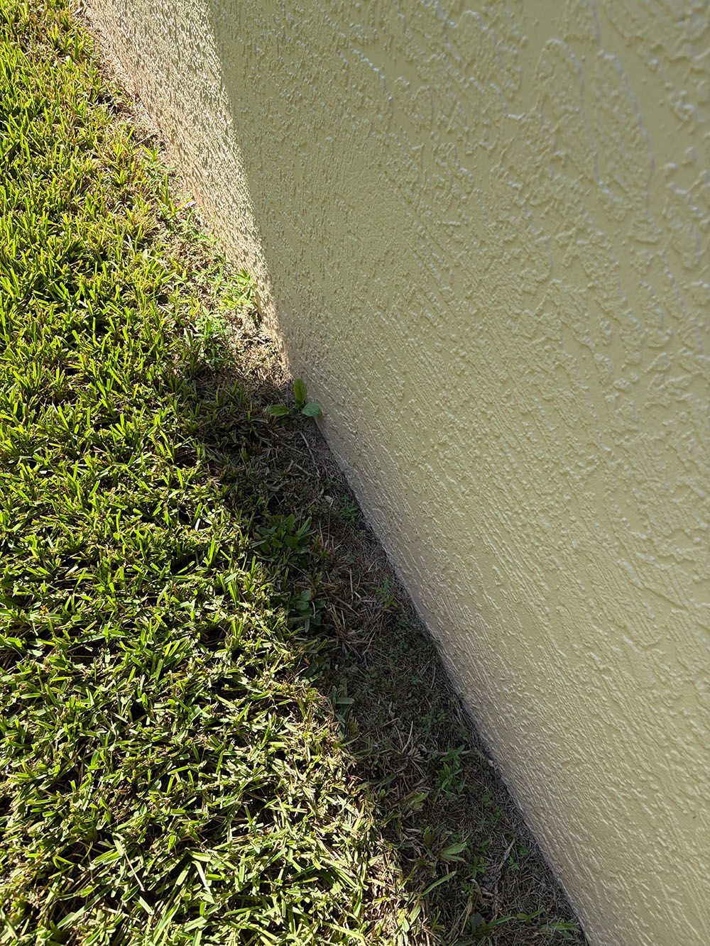 A green grassy slope beside a beige stucco wall in bright sunlight.