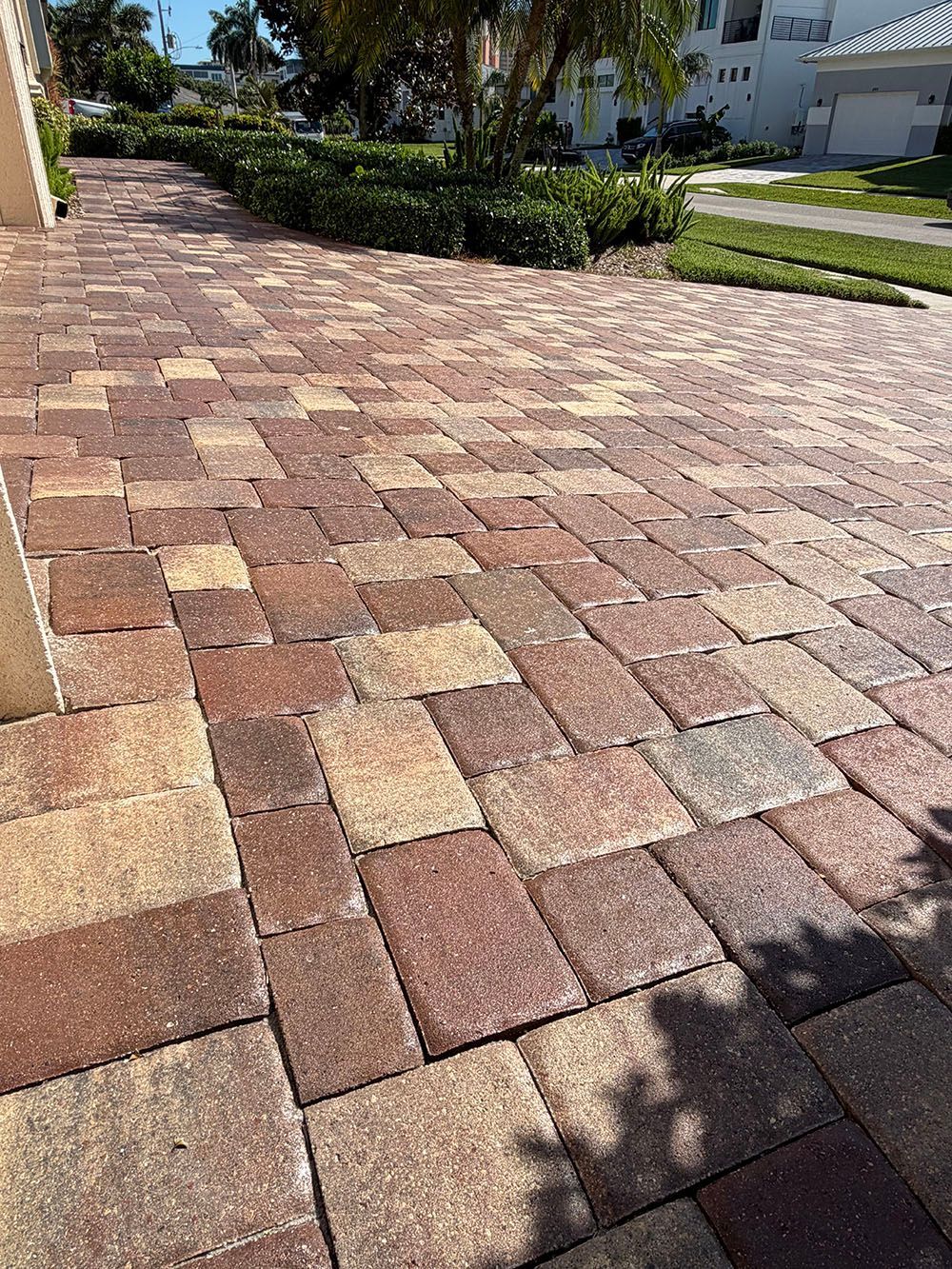 Sunlit brick-paved walkway beside apartment buildings and shrubs
