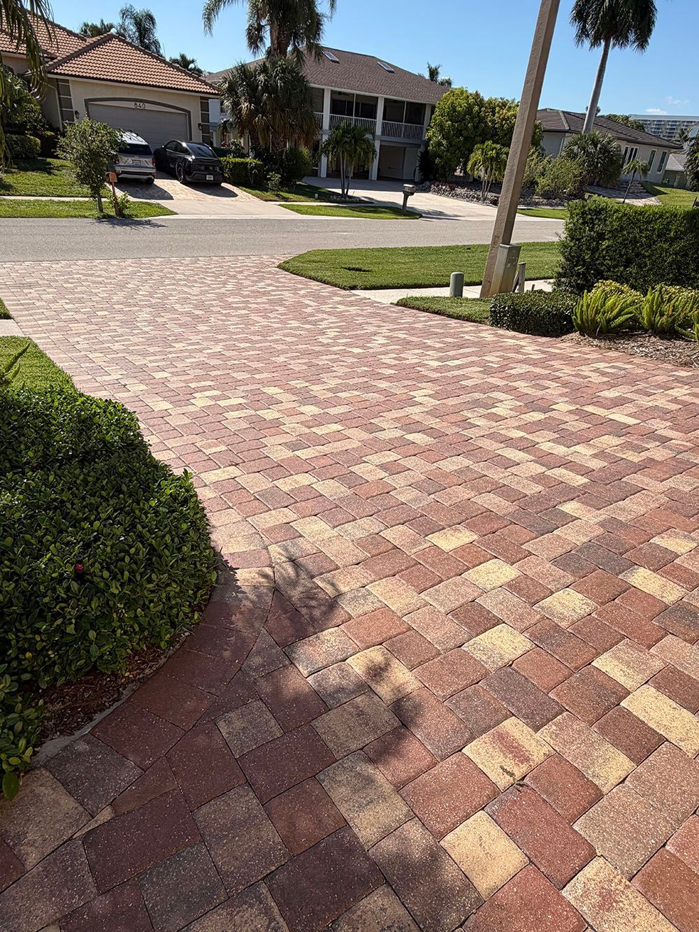 Brick-paved driveway leading to a suburban house with palm trees and trimmed shrubs