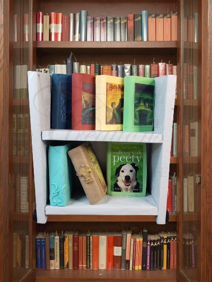 Books arranged on a bookshelf, with a small dog photo on a green book in the center.