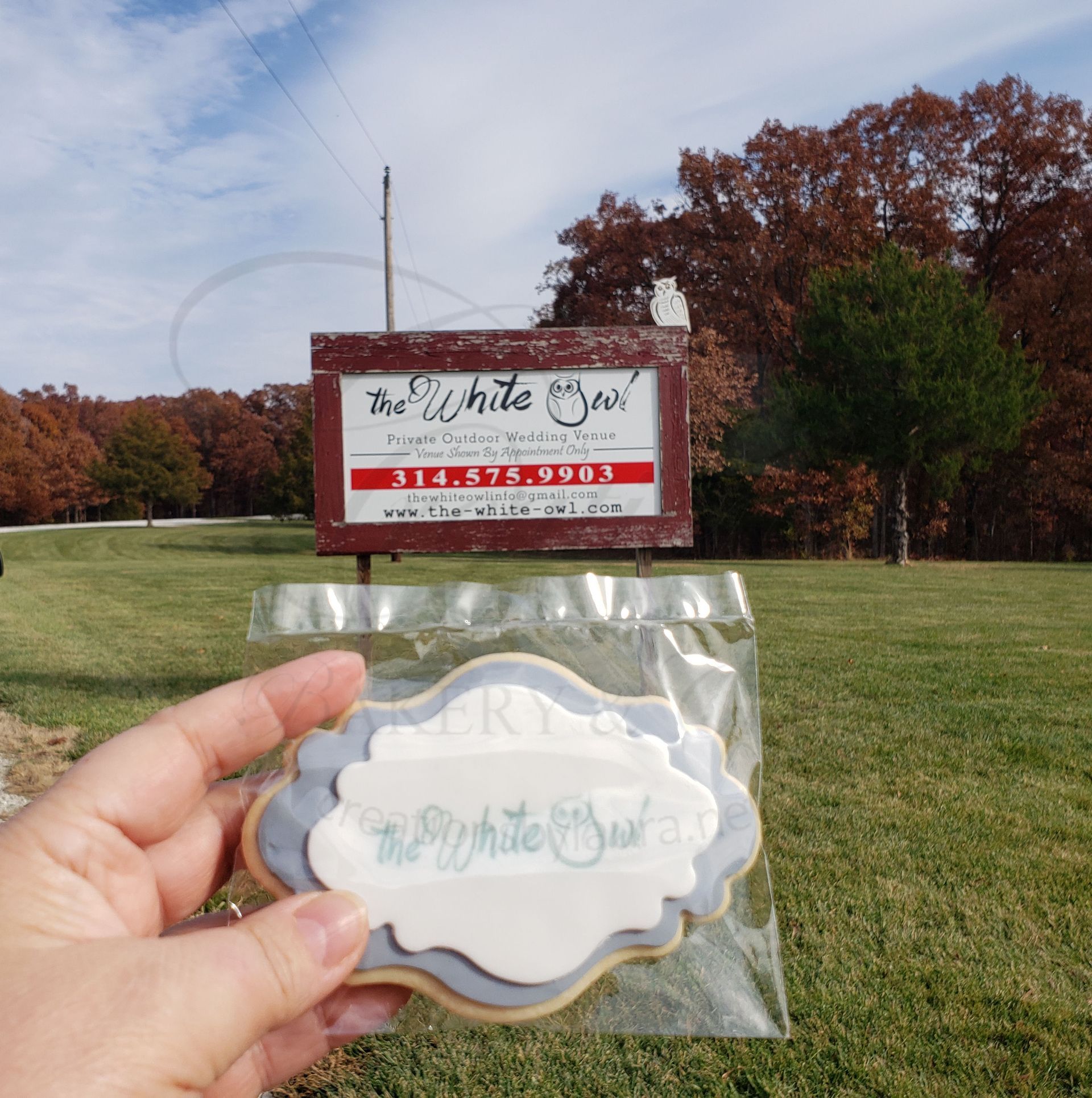 Hand holding a packaged white-and-gold custom cookie in front of a lawn sign and autumn trees.
