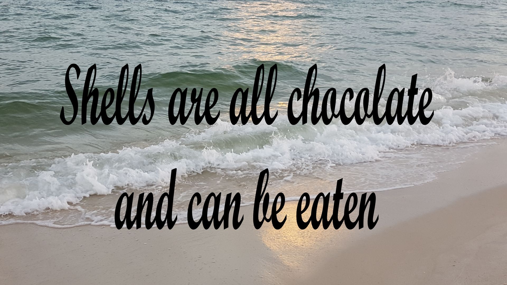 Beach waves with overlaid text reading, “Shells are all chocolate and can be eaten.”