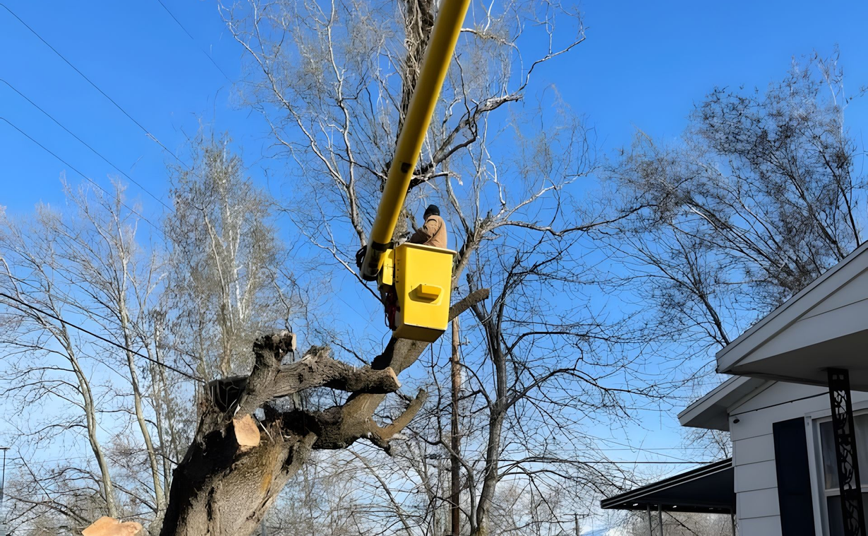 Yellow utility bucket lift pruning a tree beside a house under a blue sky.