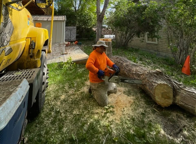 Worker in orange shirt chainsawing a fallen tree beside a yellow truck in a yard.