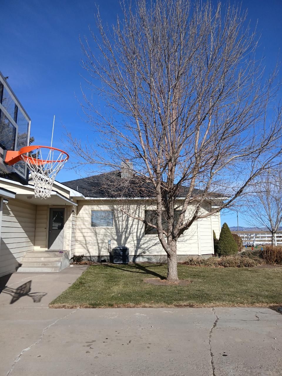 Suburban house with a basketball hoop, leafless tree, and clear blue sky