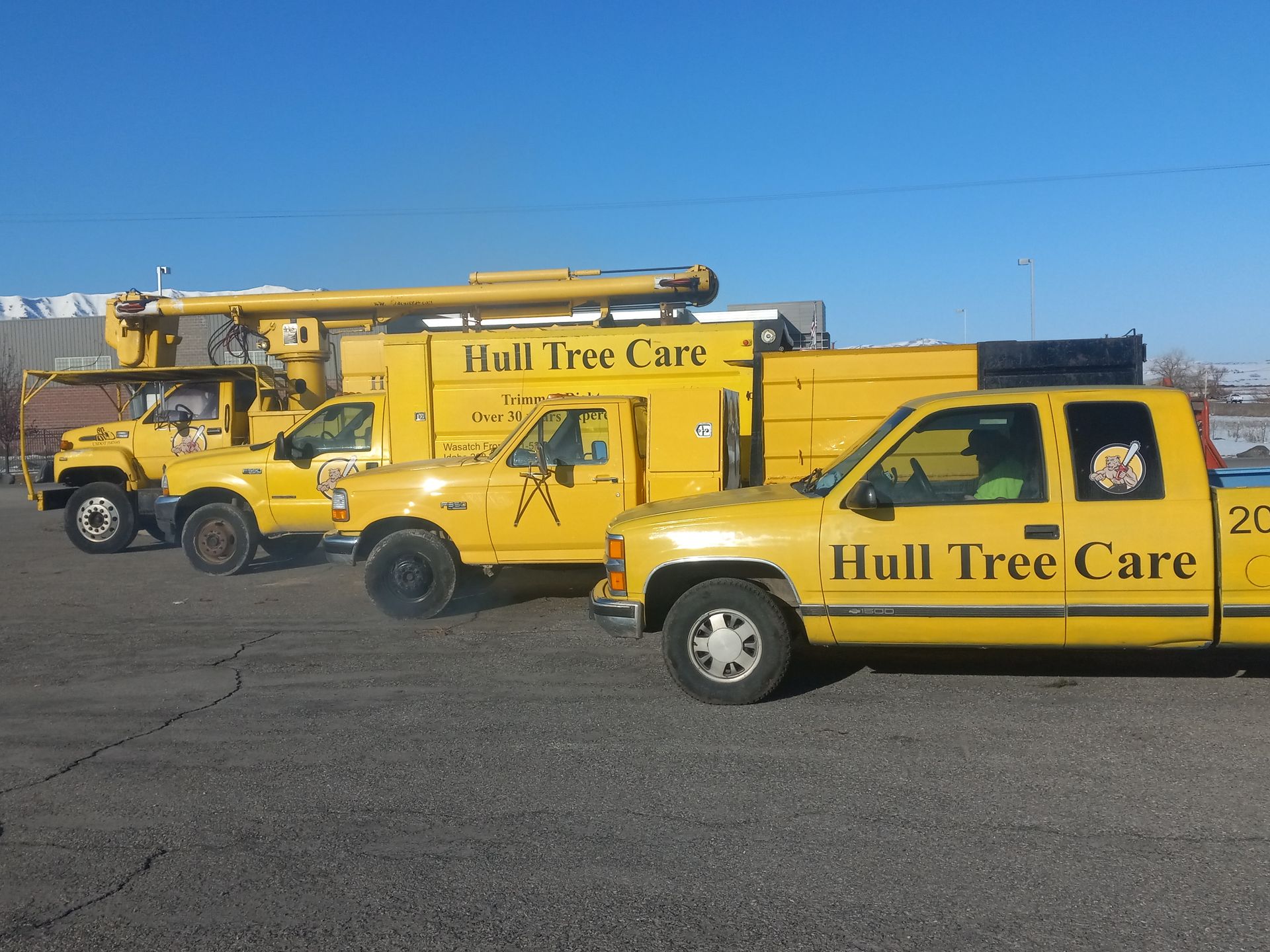 Yellow Hull Tree Care trucks and a bucket truck parked on a lot under a clear blue sky