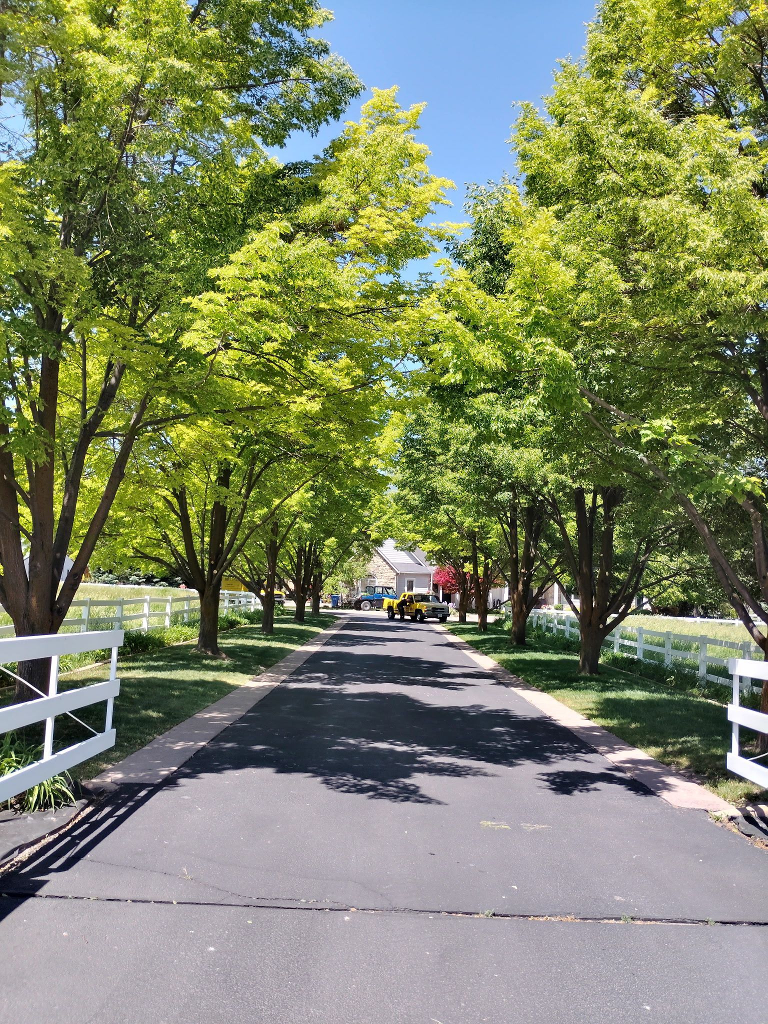 Tree-lined paved path in a sunny park, with white fences and a small red-roofed building ahead.
