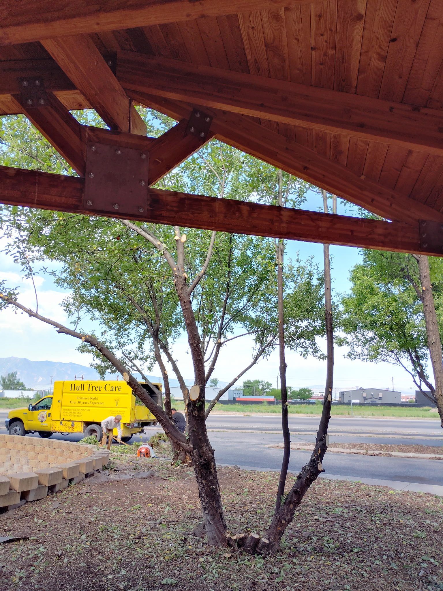 Wooden pavilion roof over a tree by a roadside, with a yellow utility truck in the background.