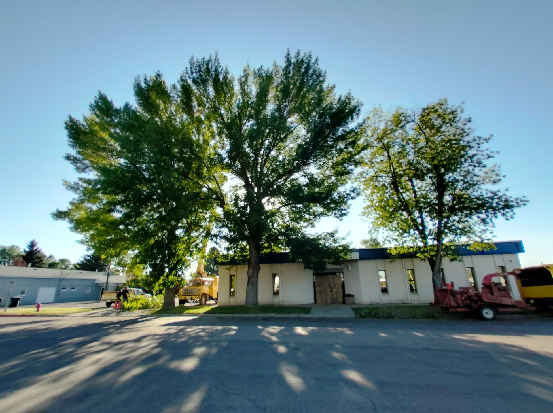 Tree-lined street with a small white building and parked red truck on a sunny day